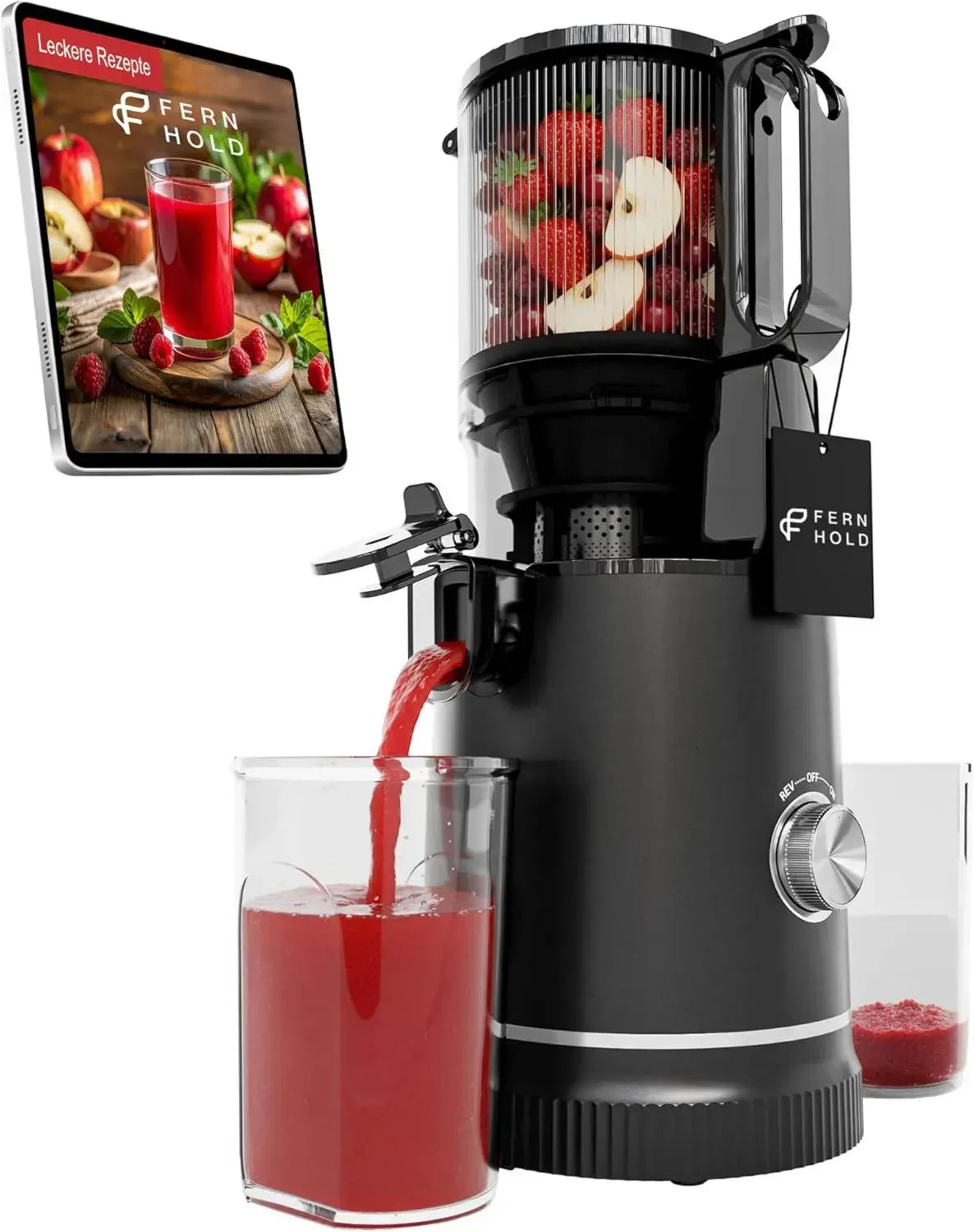 Slow Juicer Entsafter mit XXL Einfüllschacht und 3-fach Filter, 250W